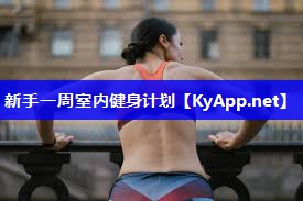 新手一周室内健身计划