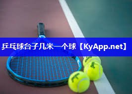 乒乓球台子几米一个球