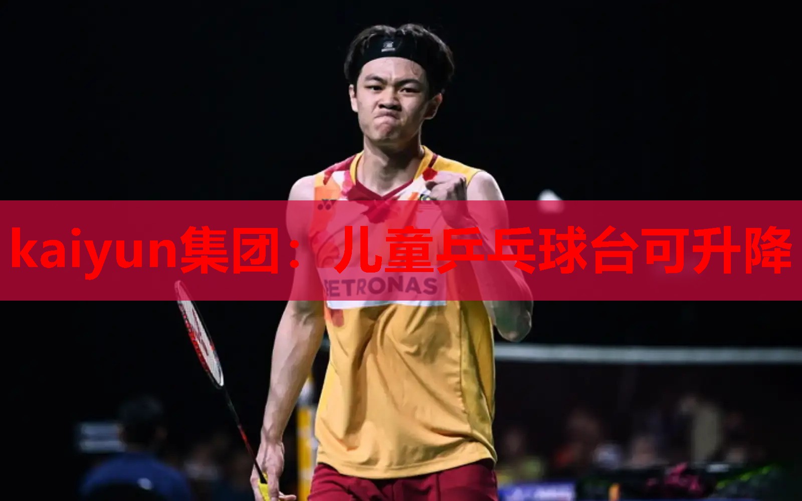 kaiyun集团：儿童乒乓球台可升降