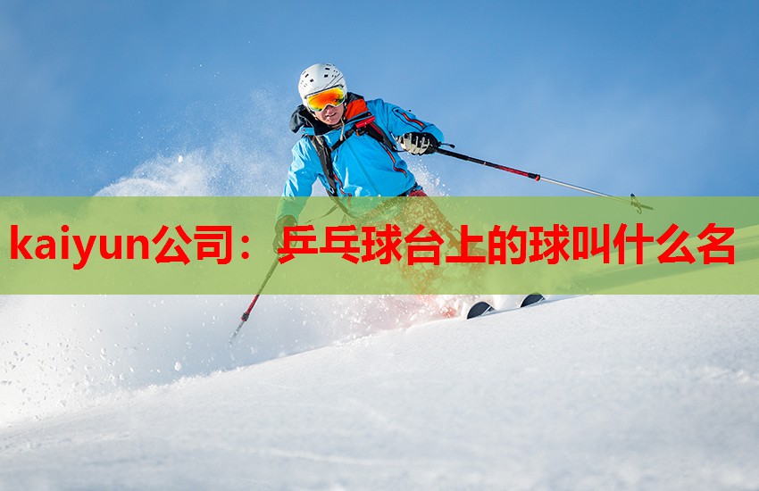 kaiyun公司：乒乓球台上的球叫什么名
