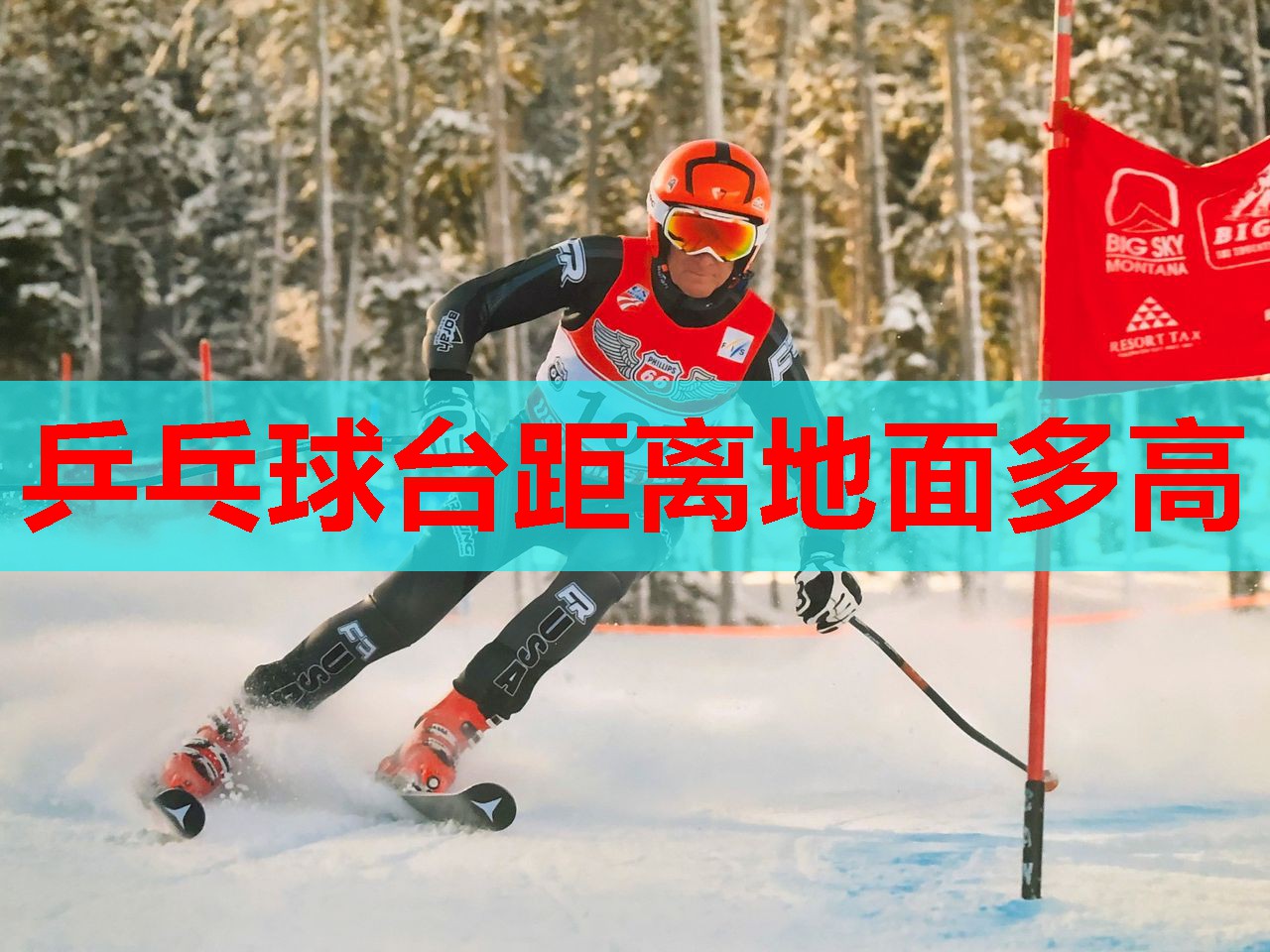 乒乓球台距离地面多高
