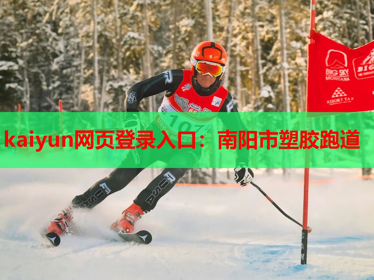 kaiyun网页登录入口：南阳市塑胶跑道