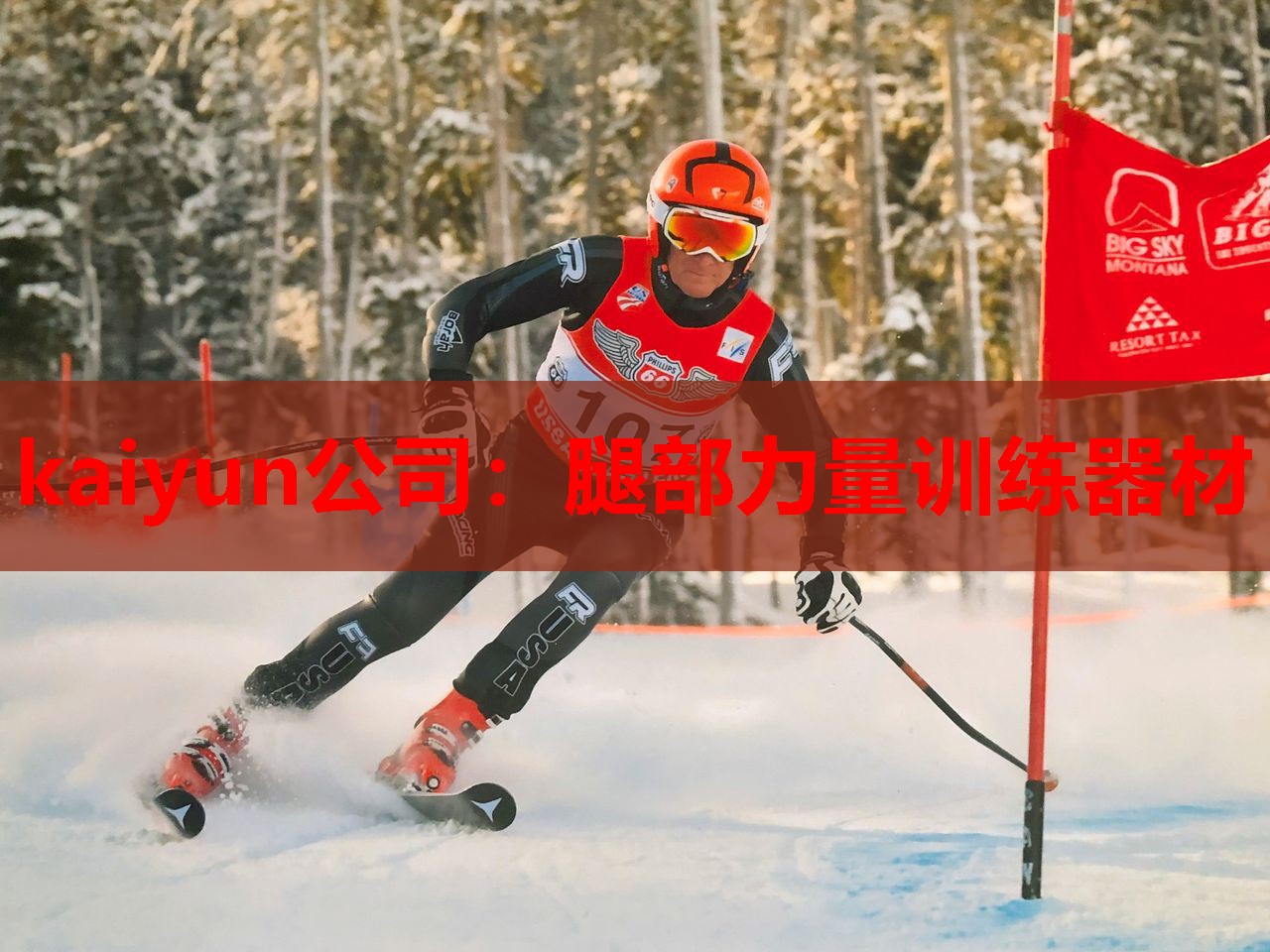 kaiyun公司：腿部力量训练器材