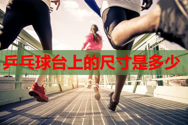乒乓球台上的尺寸是多少