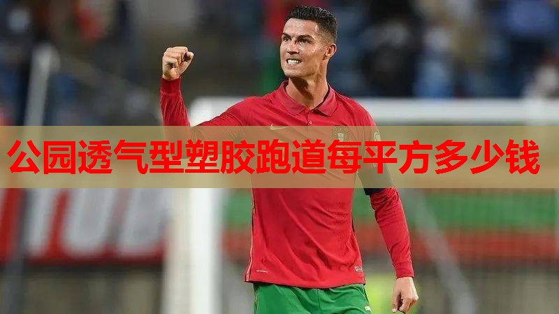公园透气型塑胶跑道每平方多少钱
