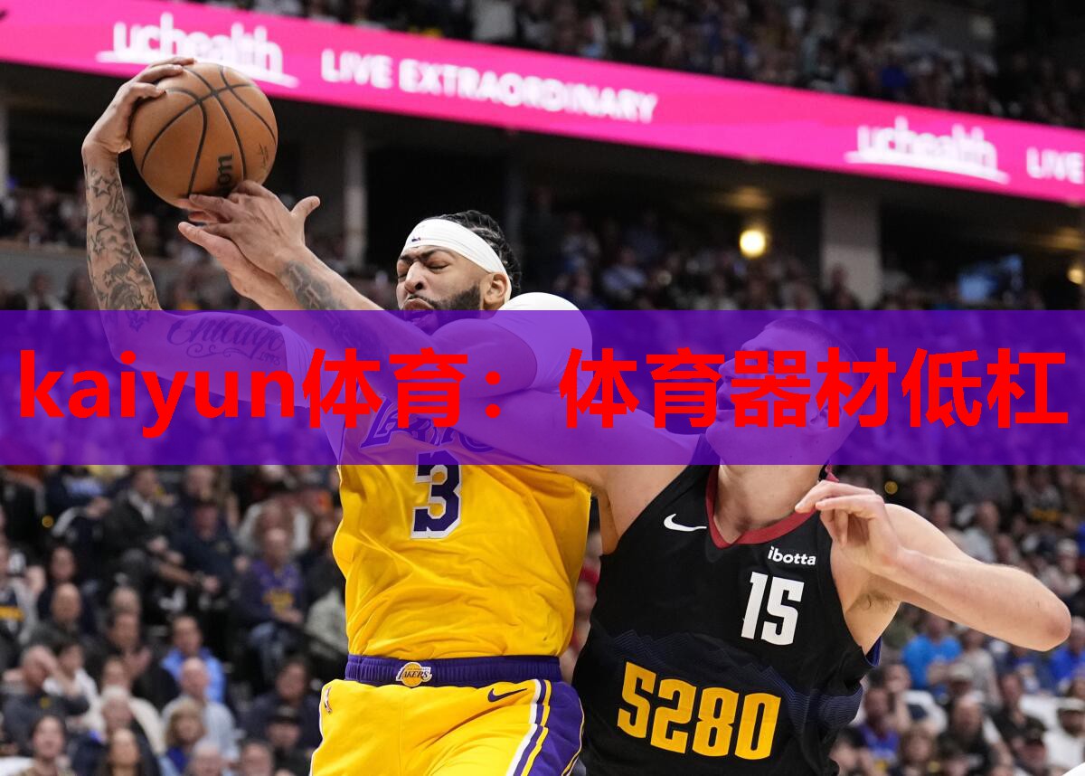 kaiyun体育：体育器材低杠