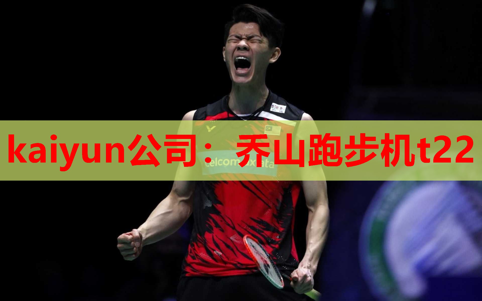 kaiyun公司：乔山跑步机t22
