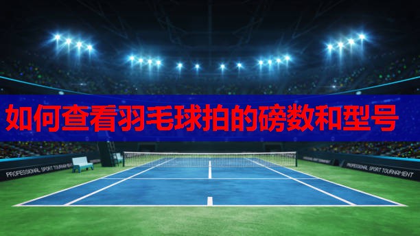 如何查看羽毛球拍的磅数和型号
