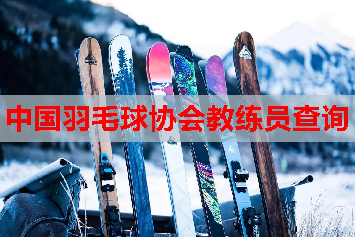 中国羽毛球协会教练员查询