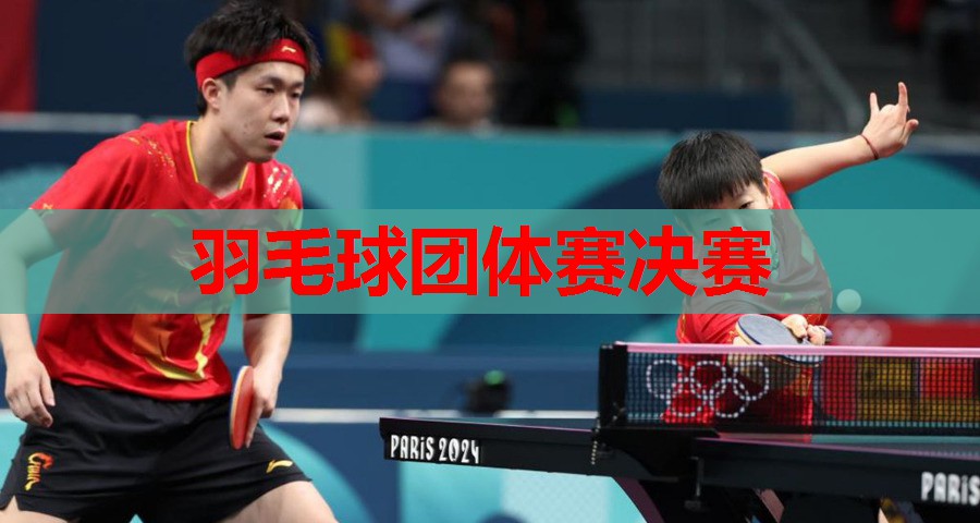 羽毛球团体赛决赛