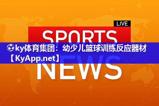 幼少儿篮球训练反应器材