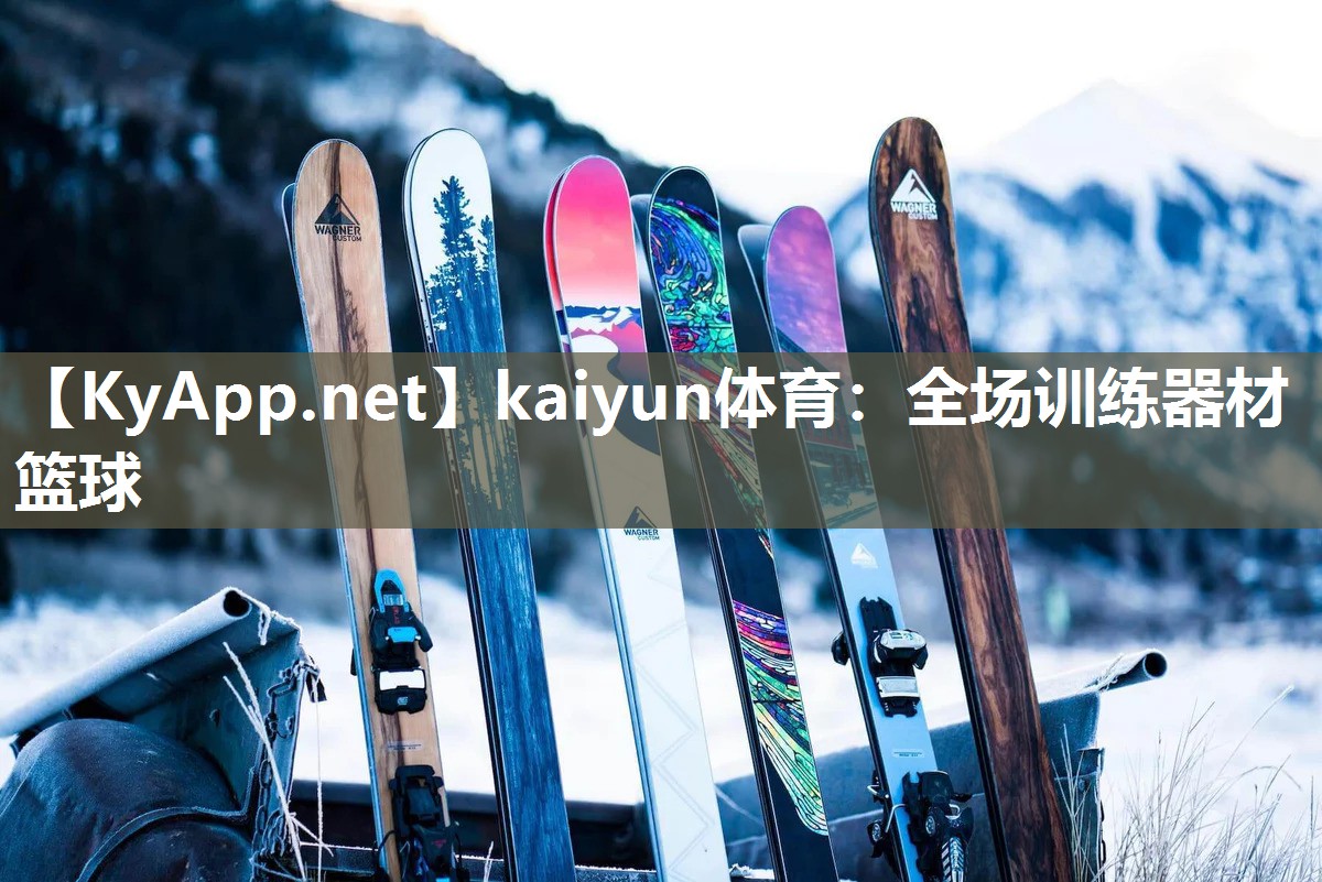 全场训练器材篮球