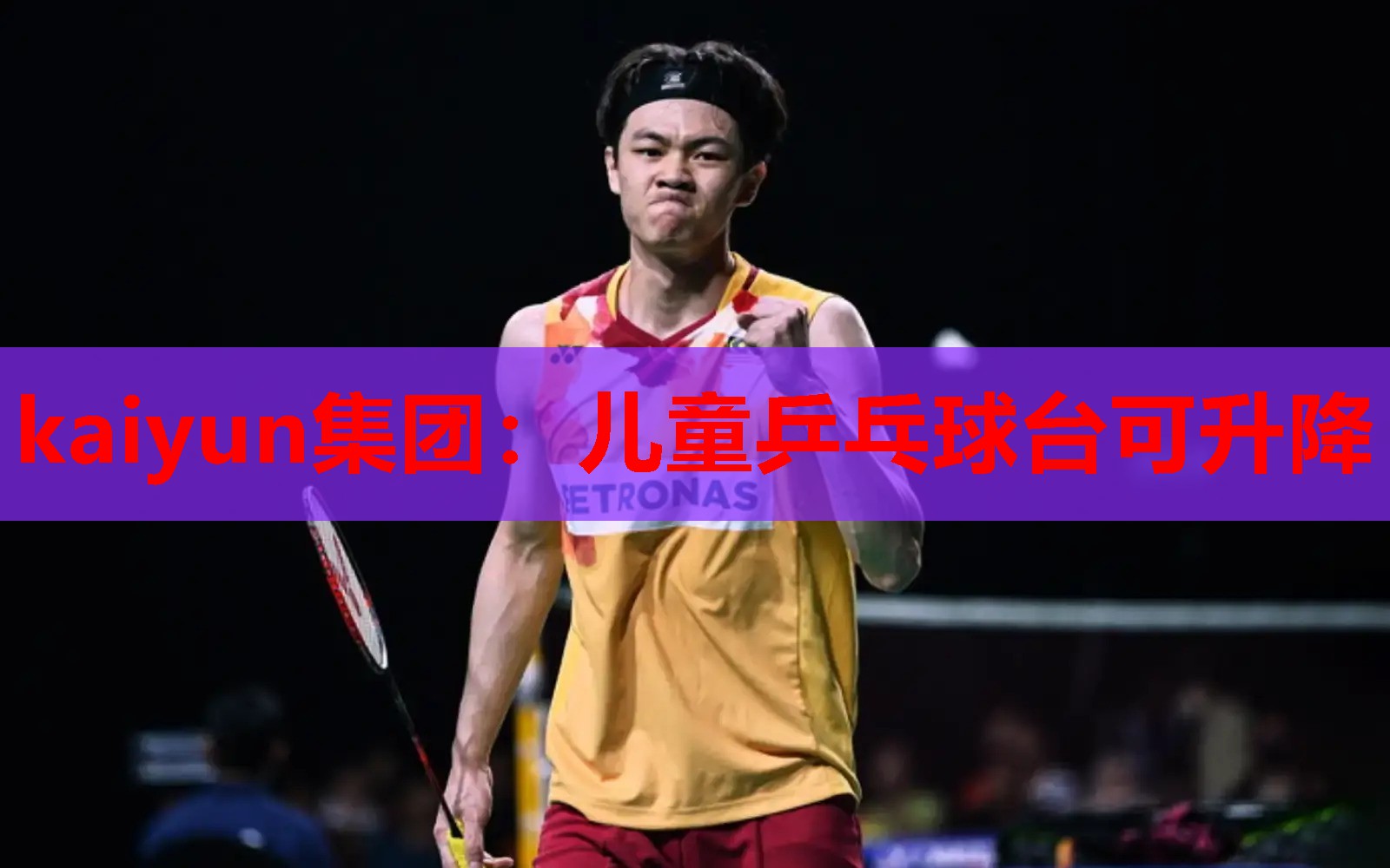 儿童乒乓球台可升降