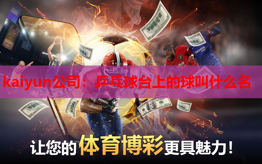 乒乓球台上的球叫什么名