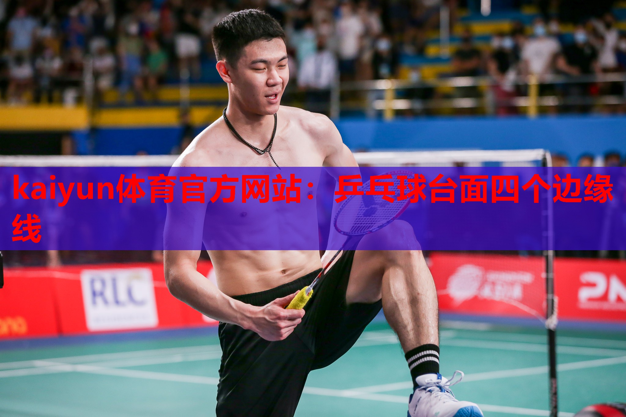 乒乓球台面四个边缘线