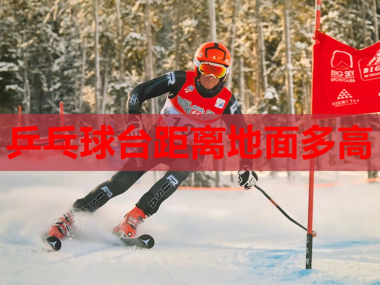 乒乓球台距离地面多高