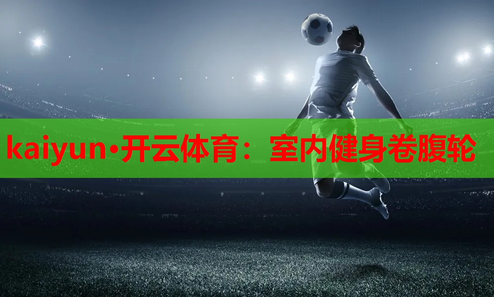 室内健身卷腹轮
