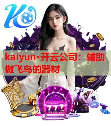 辅助做飞鸟的器材