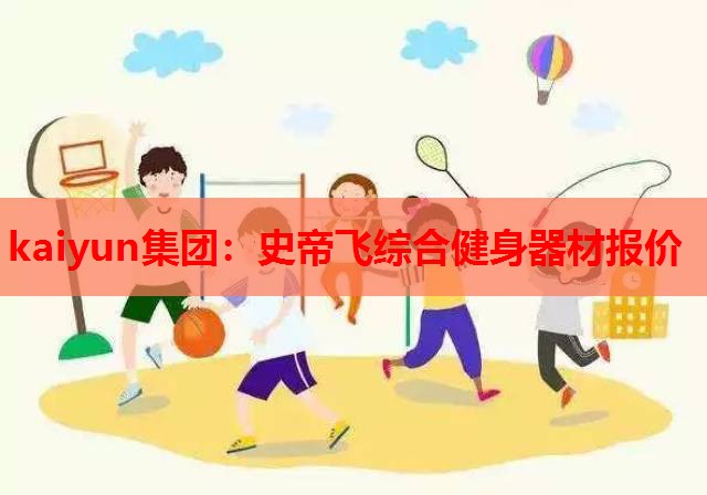 史帝飞综合健身器材报价