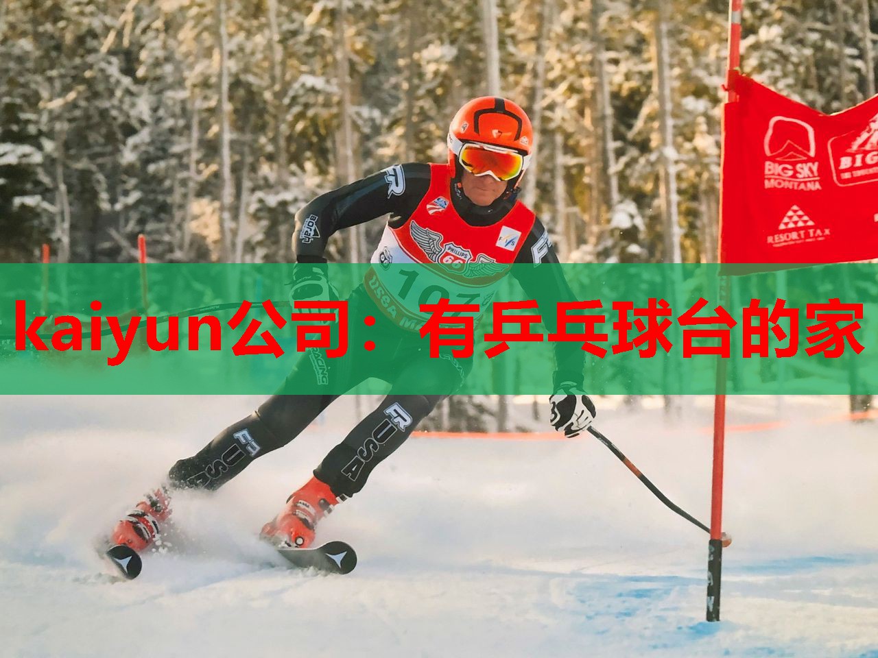 有乒乓球台的家