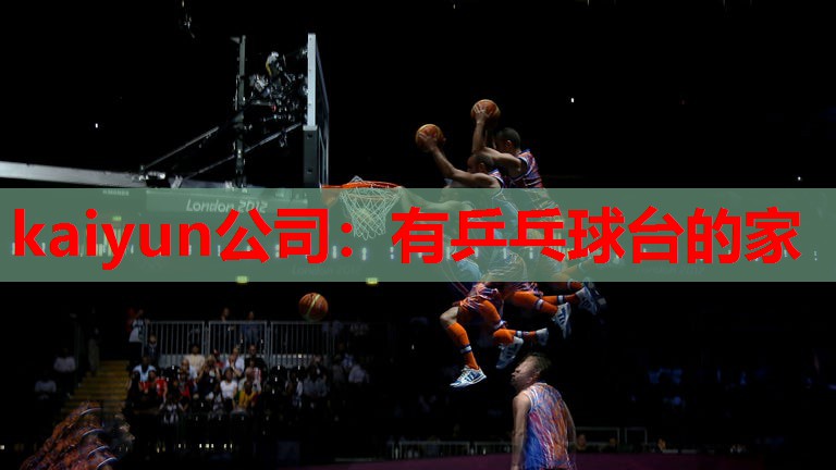 有乒乓球台的家