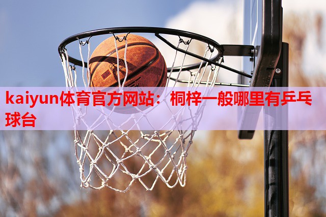 桐梓一般哪里有乒乓球台