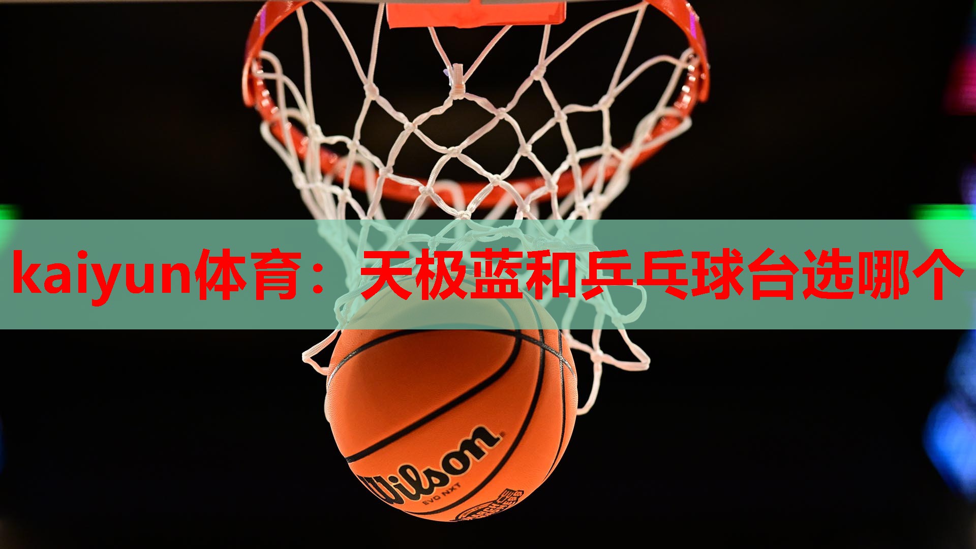 天极蓝和乒乓球台选哪个