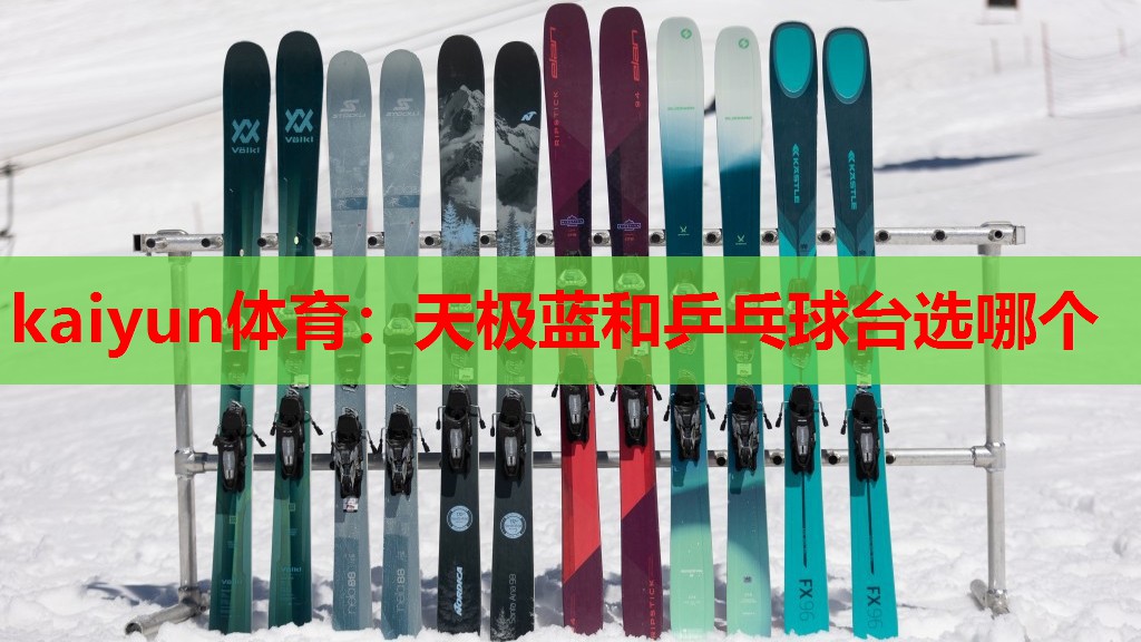 天极蓝和乒乓球台选哪个