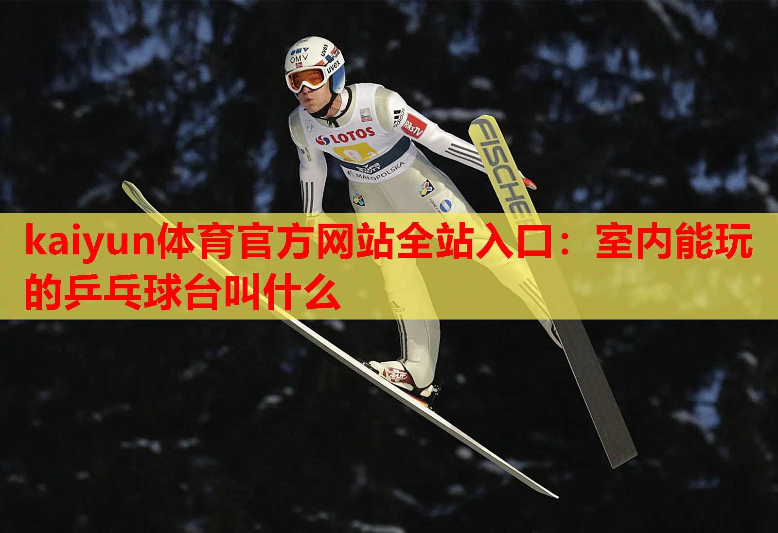 室内能玩的乒乓球台叫什么
