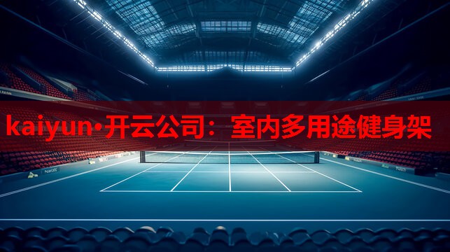 室内多用途健身架