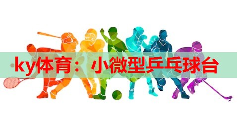 小微型乒乓球台