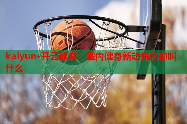 室内健身新动作名称叫什么