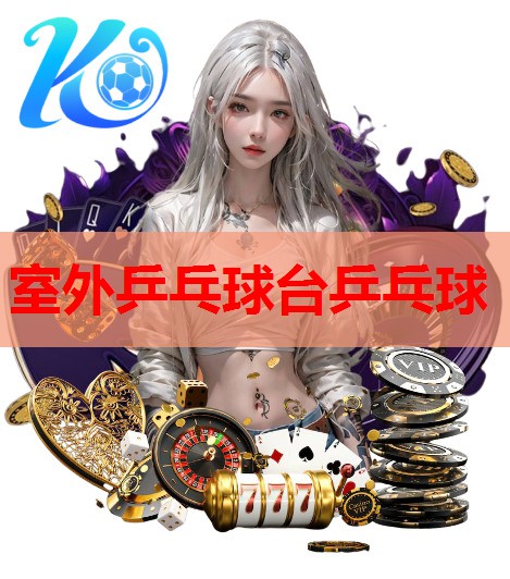 室外乒乓球台乒乓球
