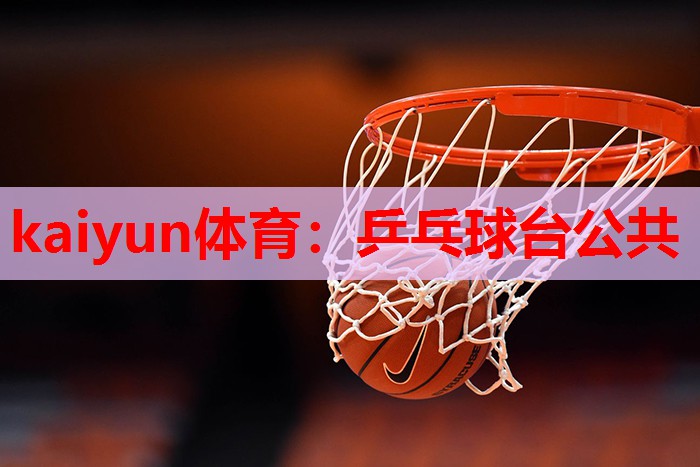 乒乓球台公共