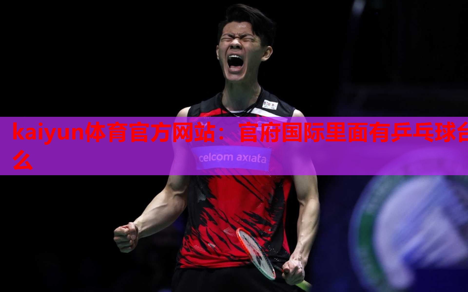 官府国际里面有乒乓球台么