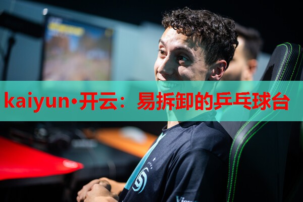 易拆卸的乒乓球台