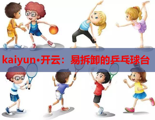 易拆卸的乒乓球台