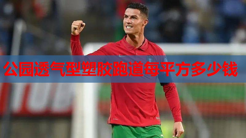 公园透气型塑胶跑道每平方多少钱