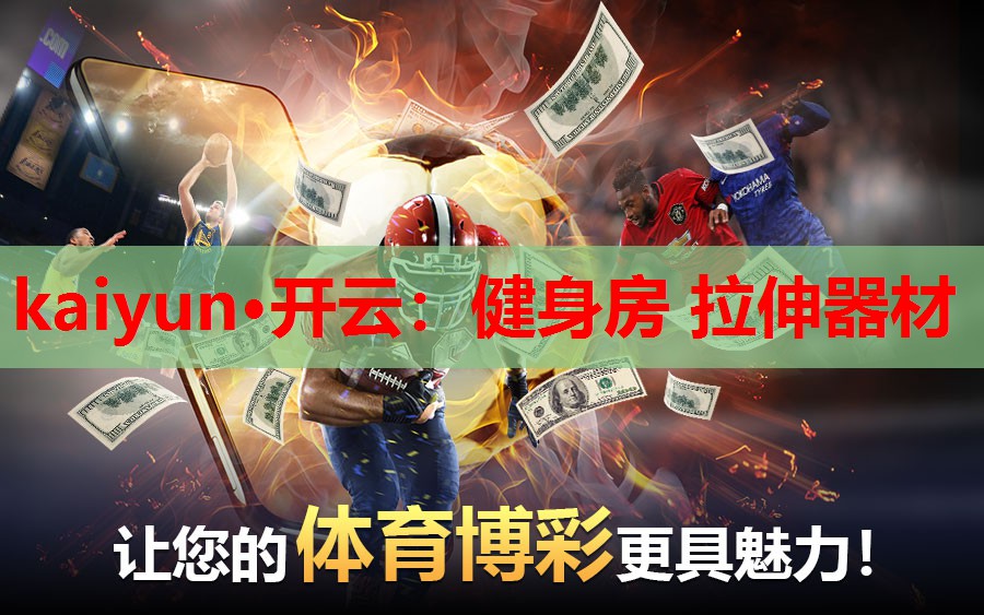 健身房 拉伸器材