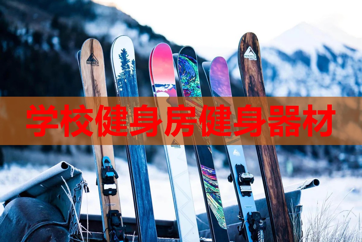 学校健身房健身器材