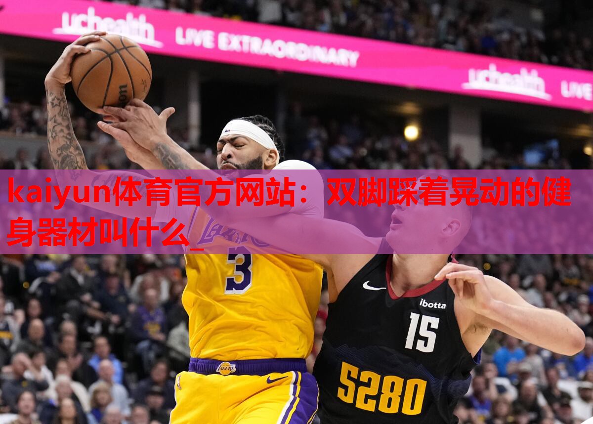 双脚踩着晃动的健身器材叫什么_