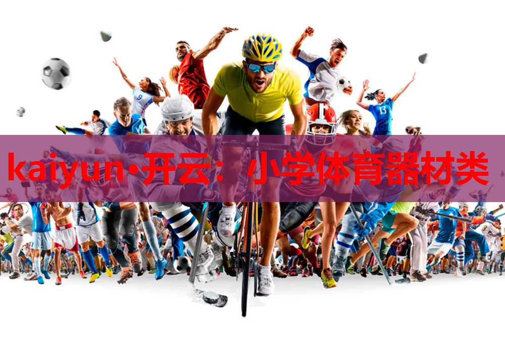 小学体育器材类