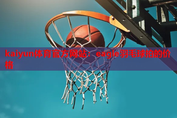 eagle羽毛球拍的价格