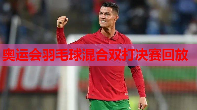 奥运会羽毛球混合双打决赛回放