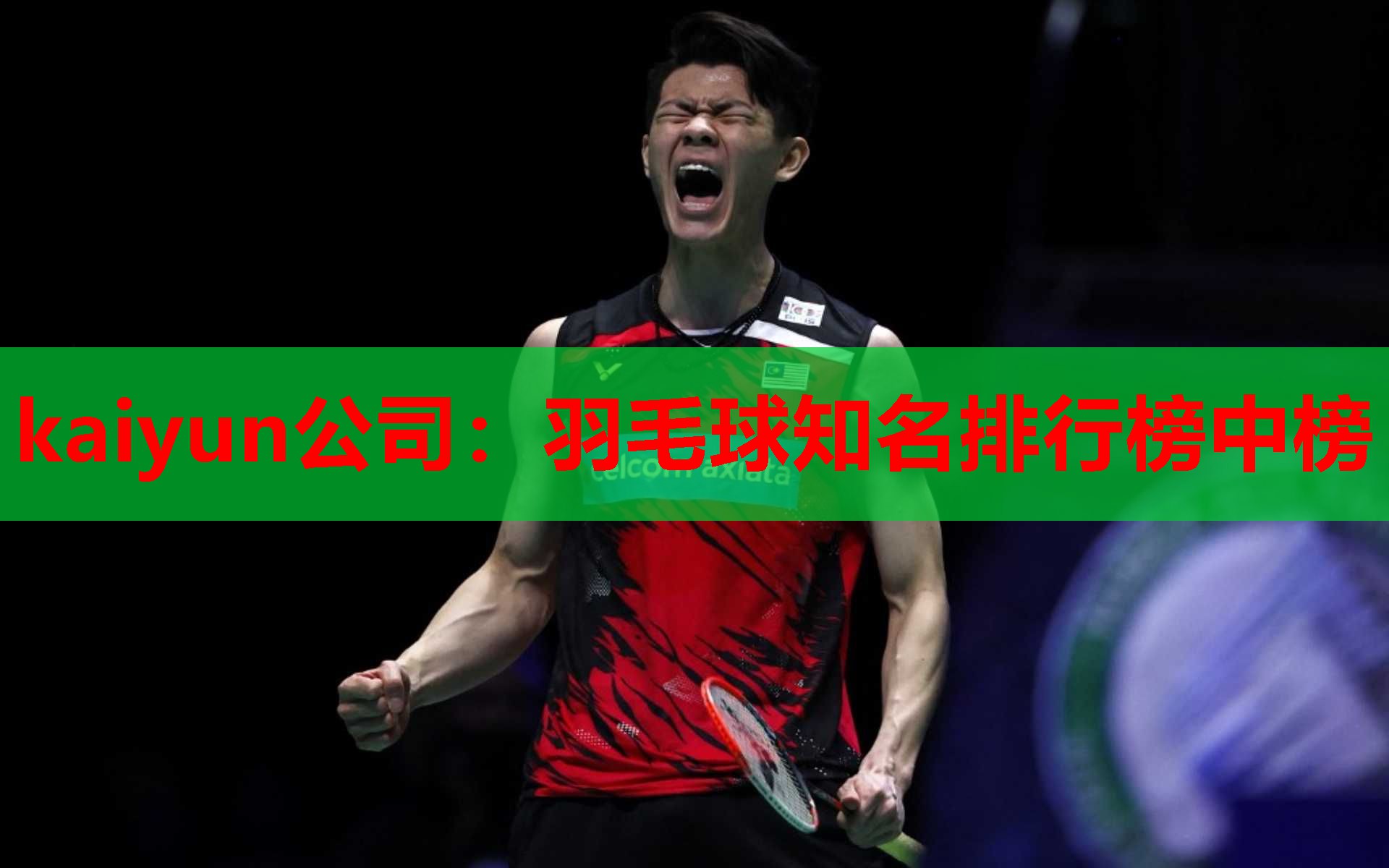 羽毛球知名排行榜中榜
