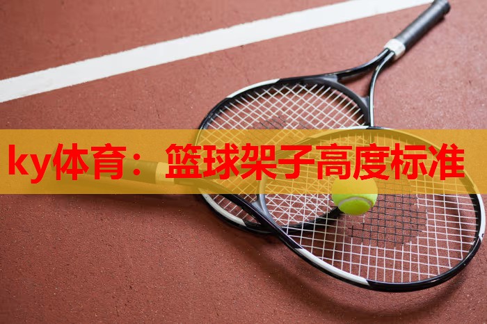 篮球架子高度标准