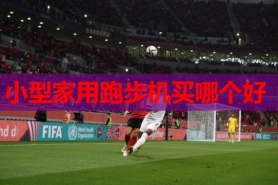 小型家用跑步机买哪个好