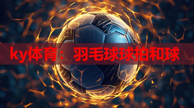 羽毛球球拍和球
