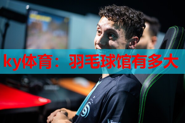 羽毛球馆有多大
