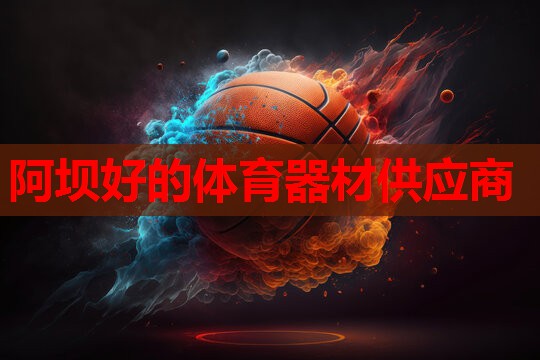阿坝好的体育器材供应商